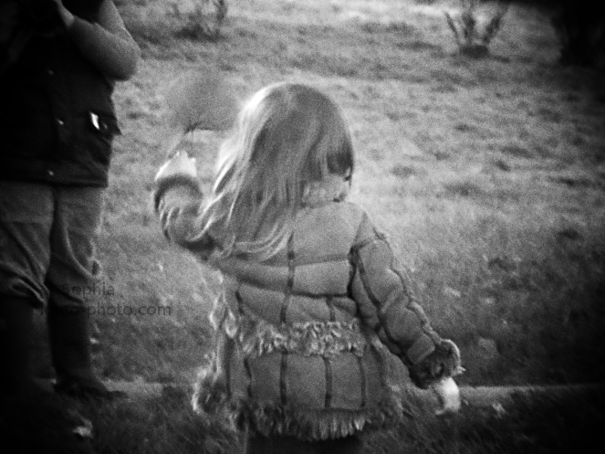 hampstead heath park, hampstead heath walks, north london park